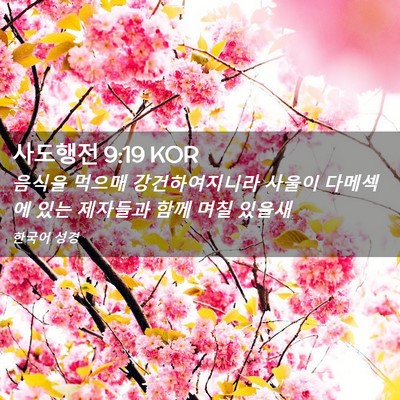Picture 02 - 사도행전 9:19 KOR - 음식을 먹으매 강건하여지니라 - Bible Verse Picture