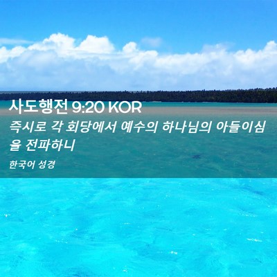 Picture 02 - 사도행전 9:20 KOR - 즉시로 각 회당에서 예수의 하나님의 - Bible Verse Picture