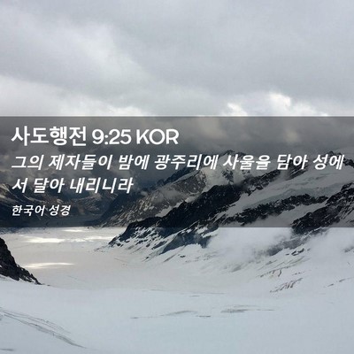 Picture 02 - 사도행전 9:25 KOR - 그의 제자들이 밤에 광주리에 사울을 - Bible Verse Picture