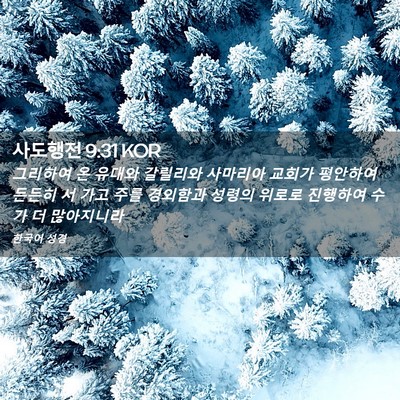 Picture 02 - 사도행전 9:31 KOR - 그리하여 온 유대와 갈릴리와 - Bible Verse Picture