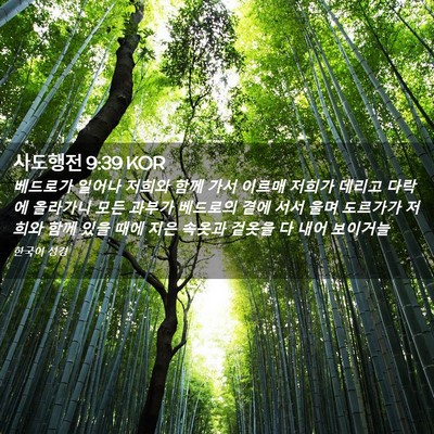 Picture 02 - 사도행전 9:39 KOR - 베드로가 일어나 저희와 함께 가서 - Bible Verse Picture