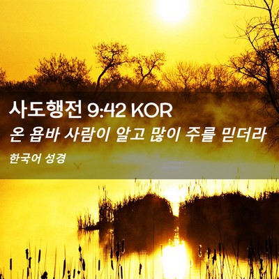 Picture 02 - 사도행전 9:42 KOR - 온 욥바 사람이 알고 많이 주를 - Bible Verse Picture