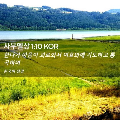 Picture 02 - 사무엘상 1:10 KOR - 한나가 마음이 괴로와서 여호와께 - Bible Verse Picture