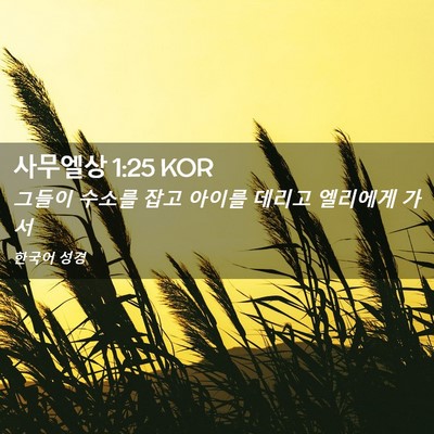Picture 02 - 사무엘상 1:25 KOR - 그들이 수소를 잡고 아이를 데리고 - Bible Verse Picture