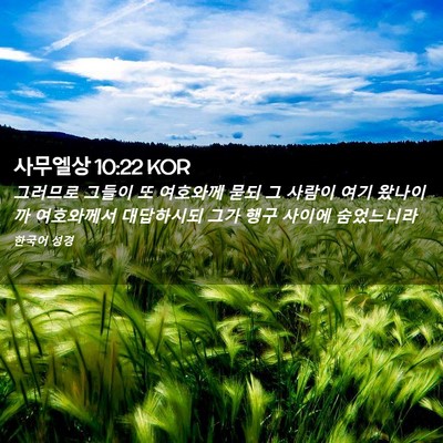 Picture 02 - 사무엘상 10:22 KOR - 그러므로 그들이 또 여호와께 묻되 - Bible Verse Picture