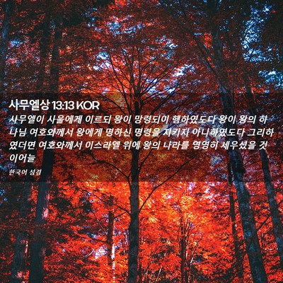 Picture 02 - 사무엘상 13:13 KOR - 사무엘이 사울에게 이르되 왕이 - Bible Verse Picture