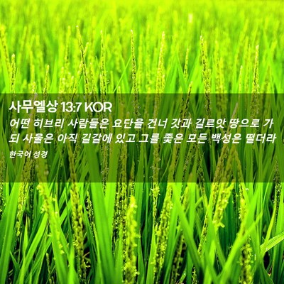 Picture 02 - 사무엘상 13:7 KOR - 어떤 히브리 사람들은 요단을 건너 - Bible Verse Picture