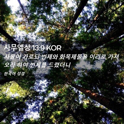Picture 02 - 사무엘상 13:9 KOR - 사울이 가로되 번제와 화목제물을 - Bible Verse Picture