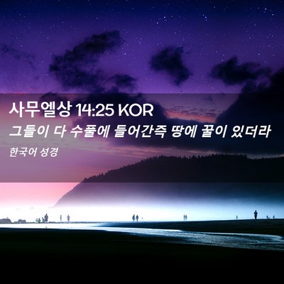 Picture 02 - 사무엘상 14:25 KOR - 그들이 다 수풀에 들어간즉 땅에 - Bible Verse Picture