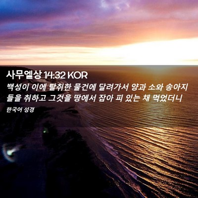 Picture 02 - 사무엘상 14:32 KOR - 백성이 이에 탈취한 물건에 달려가서 - Bible Verse Picture