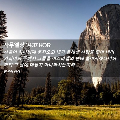 Picture 02 - 사무엘상 14:37 KOR - 사울이 하나님께 묻자오되 내가 - Bible Verse Picture