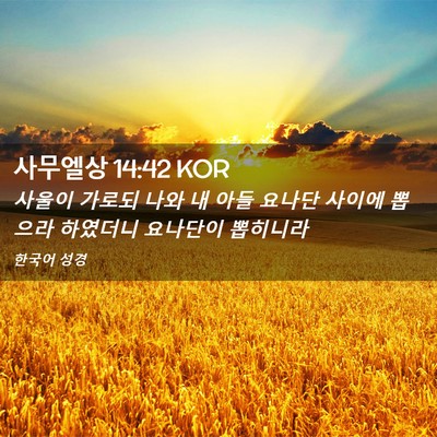 Picture 02 - 사무엘상 14:42 KOR - 사울이 가로되 나와 내 아들 요나단 - Bible Verse Picture