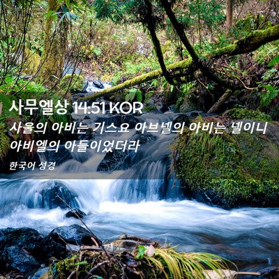 Picture 02 - 사무엘상 14:51 KOR - 사울의 아비는 기스요 아브넬의 - Bible Verse Picture