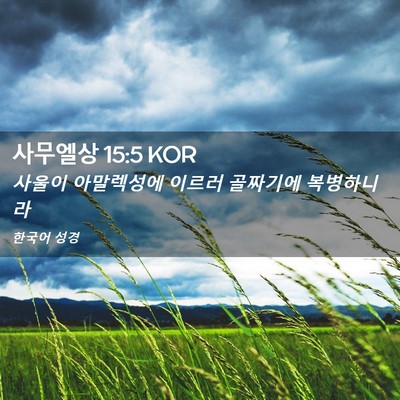 Picture 02 - 사무엘상 15:5 KOR - 사울이 아말렉성에 이르러 골짜기에 - Bible Verse Picture