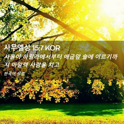 Picture 02 - 사무엘상 15:7 KOR - 사울이 하윌라에서부터 애굽앞 술에 - Bible Verse Picture