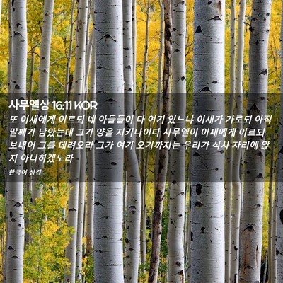 Picture 02 - 사무엘상 16:11 KOR - 또 이새에게 이르되 네 아들들이 다 - Bible Verse Picture