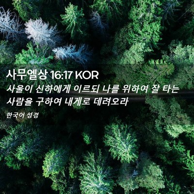Picture 02 - 사무엘상 16:17 KOR - 사울이 신하에게 이르되 나를 위하여 - Bible Verse Picture