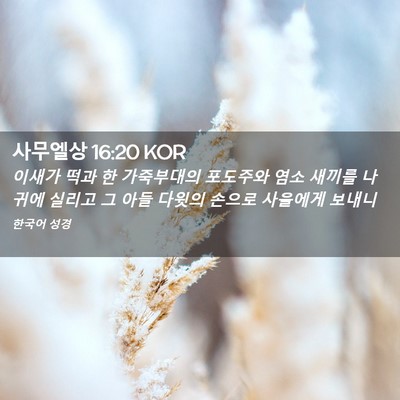 Picture 02 - 사무엘상 16:20 KOR - 이새가 떡과 한 가죽부대의 포도주와 - Bible Verse Picture