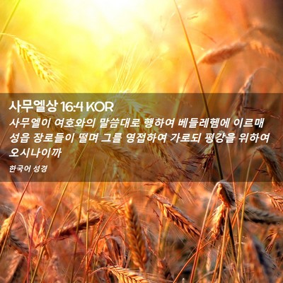 Picture 02 - 사무엘상 16:4 KOR - 사무엘이 여호와의 말씀대로 행하여 - Bible Verse Picture