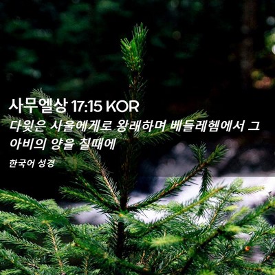 Picture 02 - 사무엘상 17:15 KOR - 다윗은 사울에게로 왕래하며 - Bible Verse Picture