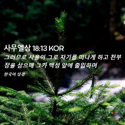 Picture 02 - 사무엘상 18:13 KOR - 그러므로 사울이 그로 자기를 떠나게 - Bible Verse Picture