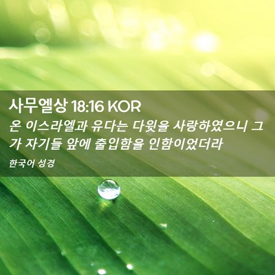 Picture 02 - 사무엘상 18:16 KOR - 온 이스라엘과 유다는 다윗을 - Bible Verse Picture