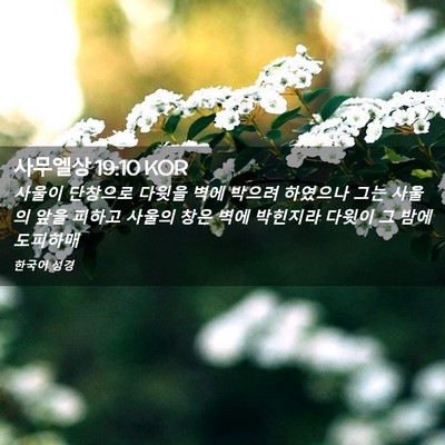 Picture 02 - 사무엘상 19:10 KOR - 사울이 단창으로 다윗을 벽에 박으려 - Bible Verse Picture