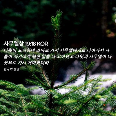 Picture 02 - 사무엘상 19:18 KOR - 다윗이 도피하여 라마로 가서 - Bible Verse Picture