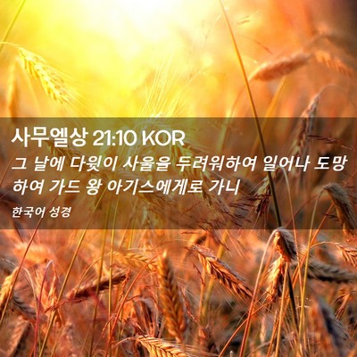 Picture 02 - 사무엘상 21:10 KOR - 그 날에 다윗이 사울을 두려워하여 - Bible Verse Picture