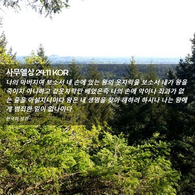 Picture 02 - 사무엘상 24:11 KOR - 나의 아버지여 보소서 내 손에 있는 - Bible Verse Picture