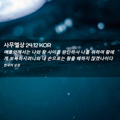 Picture 02 - 사무엘상 24:12 KOR - 여호와께서는 나와 왕 사이를 - Bible Verse Picture