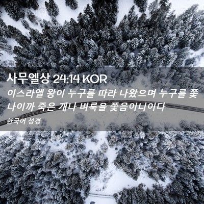 Picture 02 - 사무엘상 24:14 KOR - 이스라엘 왕이 누구를 따라 나왔으며 - Bible Verse Picture