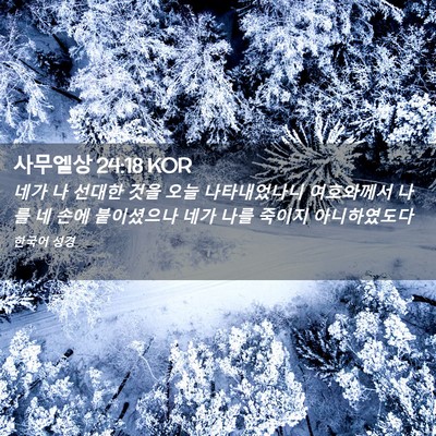 Picture 02 - 사무엘상 24:18 KOR - 네가 나 선대한 것을 오늘 - Bible Verse Picture