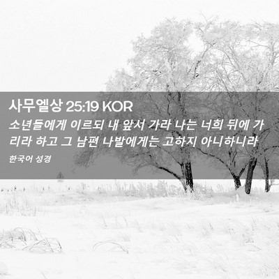 Picture 02 - 사무엘상 25:19 KOR - 소년들에게 이르되 내 앞서 가라 - Bible Verse Picture