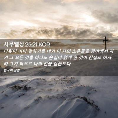 Picture 02 - 사무엘상 25:21 KOR - 다윗이 이미 말하기를 내가 이 자의 - Bible Verse Picture