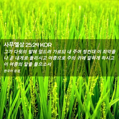 Picture 02 - 사무엘상 25:24 KOR - 그가 다윗의 발에 엎드려 가로되 내 - Bible Verse Picture