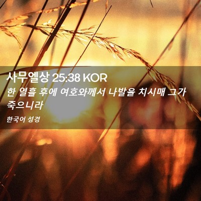 Picture 02 - 사무엘상 25:38 KOR - 한 열흘 후에 여호와께서 나발을 - Bible Verse Picture