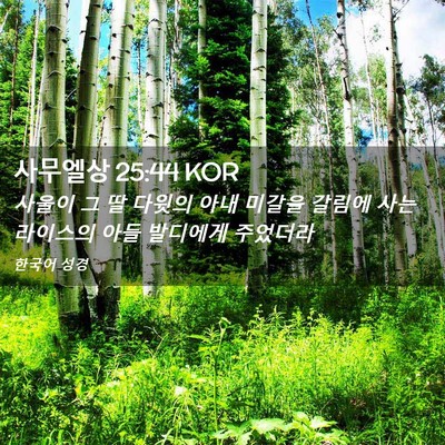 Picture 02 - 사무엘상 25:44 KOR - 사울이 그 딸 다윗의 아내 미갈을 - Bible Verse Picture