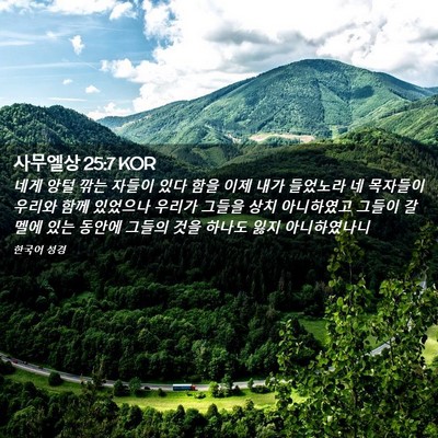 Picture 02 - 사무엘상 25:7 KOR - 네게 앙털 깎는 자들이 있다 함을 - Bible Verse Picture