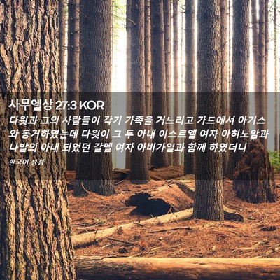 Picture 02 - 사무엘상 27:3 KOR - 다윗과 그의 사람들이 각기 가족을 - Bible Verse Picture