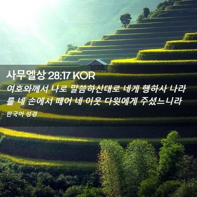Picture 02 - 사무엘상 28:17 KOR - 여호와께서 나로 말씀하신대로 네게 - Bible Verse Picture