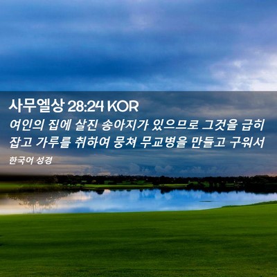 Picture 02 - 사무엘상 28:24 KOR - 여인의 집에 살진 송아지가 있으므로 - Bible Verse Picture