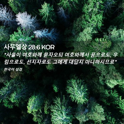 Picture 02 - 사무엘상 28:6 KOR - 
