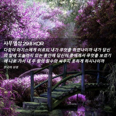 Picture 02 - 사무엘상 29:8 KOR - 다윗이 아기스에게 이르되 내가 - Bible Verse Picture