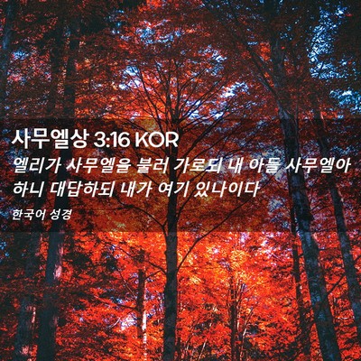 Picture 02 - 사무엘상 3:16 KOR - 엘리가 사무엘을 불러 가로되 내 - Bible Verse Picture