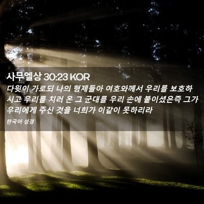 Picture 02 - 사무엘상 30:23 KOR - 다윗이 가로되 나의 형제들아 - Bible Verse Picture