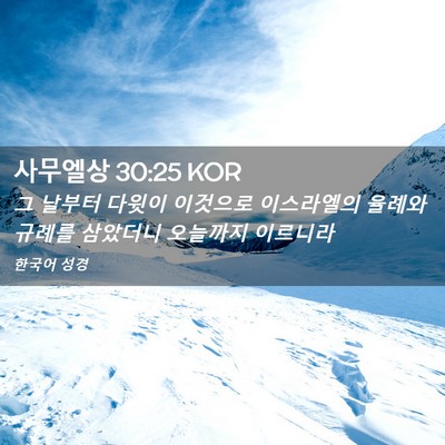 Picture 02 - 사무엘상 30:25 KOR - 그 날부터 다윗이 이것으로 - Bible Verse Picture