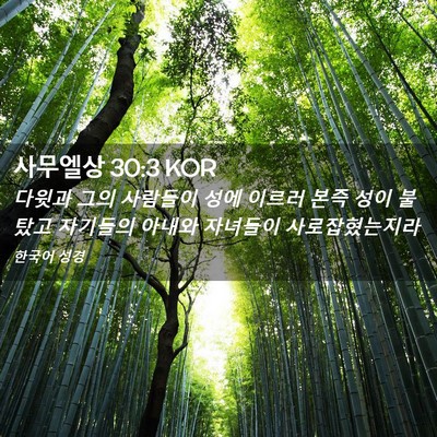 Picture 02 - 사무엘상 30:3 KOR - 다윗과 그의 사람들이 성에 이르러 - Bible Verse Picture