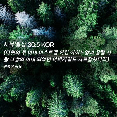 Picture 02 - 사무엘상 30:5 KOR - (다윗의 두 아내 이스르엘 여인 - Bible Verse Picture