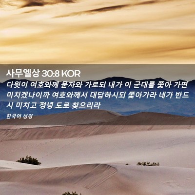 Picture 02 - 사무엘상 30:8 KOR - 다윗이 여호와께 묻자와 가로되 내가 - Bible Verse Picture